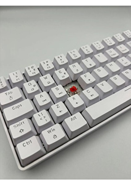 T60 Red Switch Mekanik 62 Tuş Rgb App Uygulamalı Gaming Oyuncu Klavyesi modelleri