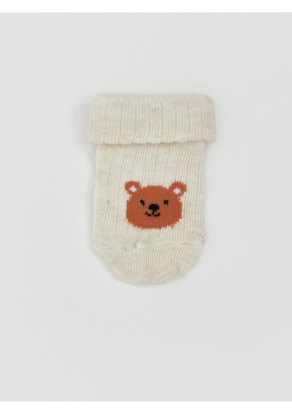 Yeni Sezon Baskılı Erkek Bebek Soket Çorap 3'lü fiyatları