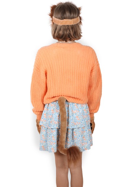 Aslan Kostümü Seti fiyatları