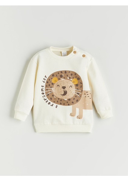 Yeni Sezon Erkek Bebek Sweatshirt ve Eşofman Alt 2'li fiyatları