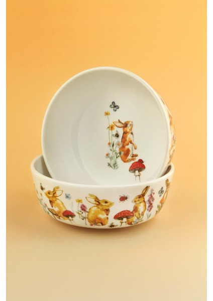 Tavşan Iki Adet Porselen Kase