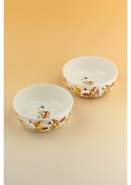 Tavşan Iki Adet Porselen Kase fiyatları