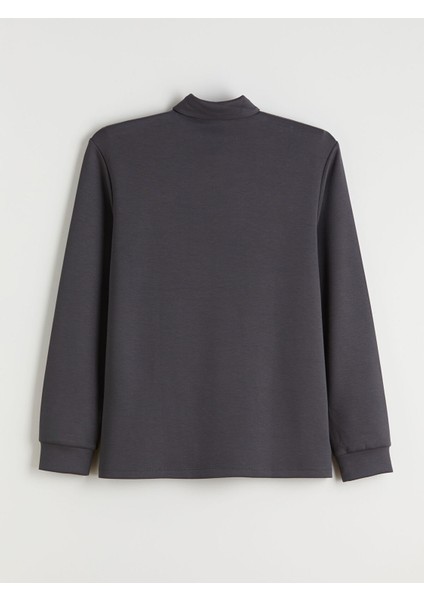 Yeni Sezon Polo Yaka Erkek Sweatshirt fiyatları