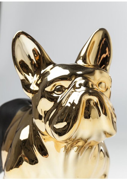 Bulldog Gold Black Kumbara fiyatları