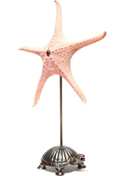 Kaplumbağa Detaylı Deniz Yıldızı Formlu Obje