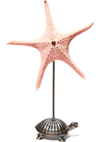 Kaplumbağa Detaylı Deniz Yıldızı Formlu Obje fiyatları