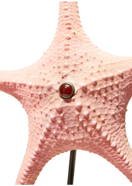 Kaplumbağa Detaylı Deniz Yıldızı Formlu Obje fırsatları