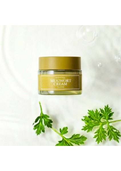 Mugwort Rahatlatıcı Bitkisel Yüz Kremi 50 gr modelleri