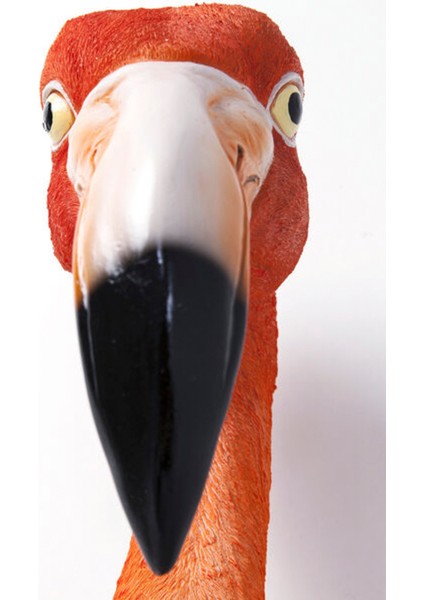 Flamingo Road Duvar Süsü 72CM