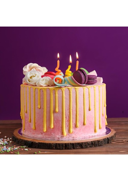 Tegral Savoıe-Sade Pandispanya 10 kg fiyatları