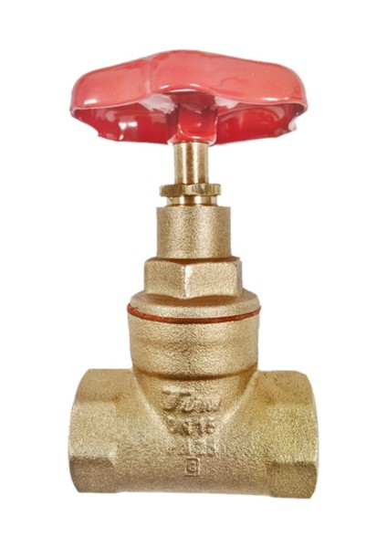 2" Şiber VANA-DN50-TSE-GENTA