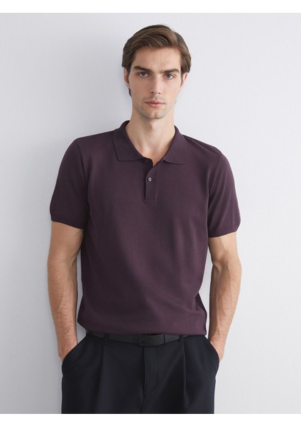 Yeni Sezon Polo Yaka Erkek Triko Kazak