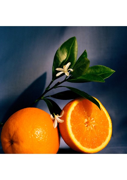 Orange Blossom 330 gr Mum modelleri