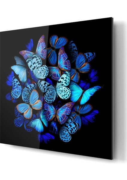 Butterfly 1 By Girift Diasec Çerçeveli Tablo