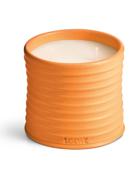 Orange Blossom Medium 610 gr Mum