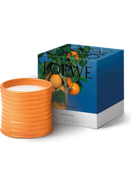 Orange Blossom Medium 610 gr Mum fiyatları