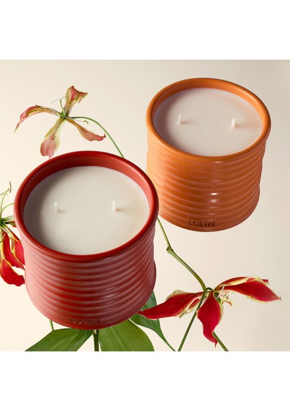 Orange Blossom Medium 610 gr Mum indirimleri