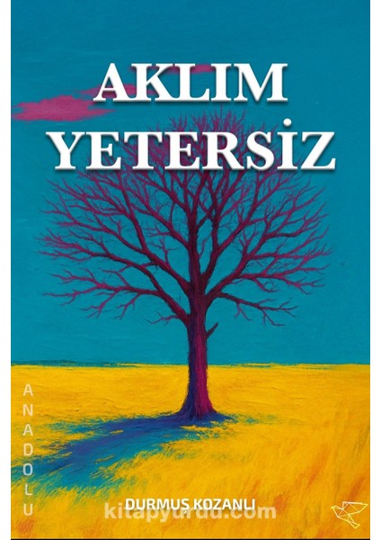 Aklım Yetersiz