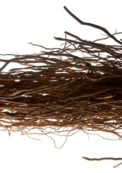 L'homme Edt 60ML modelleri