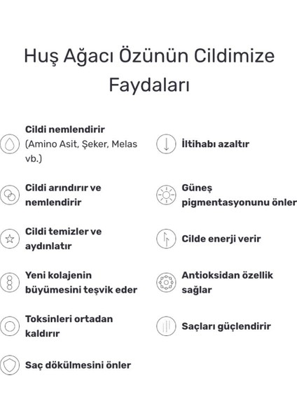 Birch Juice Sunscreen Nemlendirici Leke Önleyici Huş Özlü Güneş Kremi 50 ml fırsatları