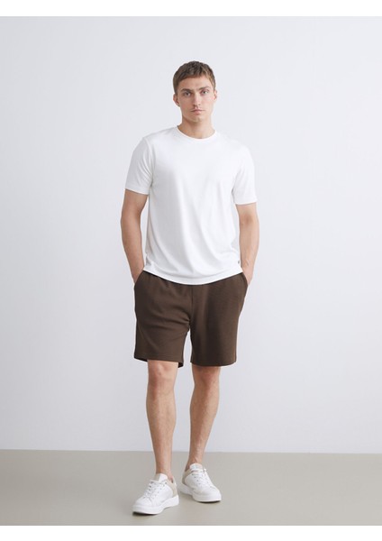 Yeni Sezon Standart Kalıp Penye Erkek Şort