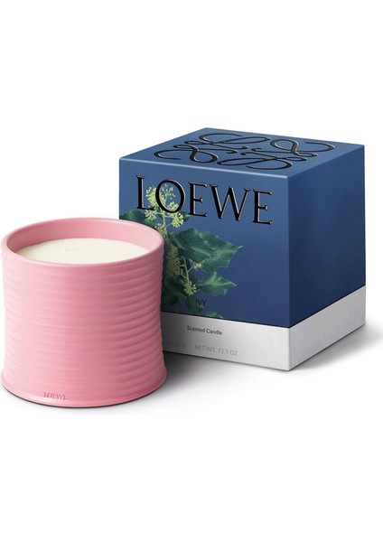 Ivy Large 2120 gr Mum fiyatları