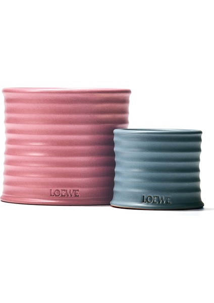 Ivy Large 2120 gr Mum fırsatları