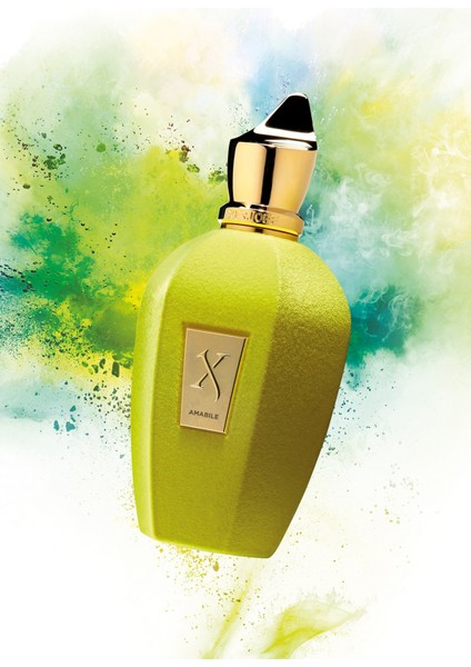 V Amabile 100 ml fırsatları