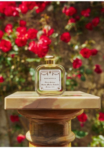 Rosa Novella Eau De Cologne, Unisex, 100 ml