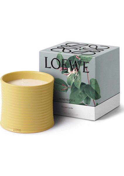 Honeysuckle Large 2120 gr Mum fiyatları