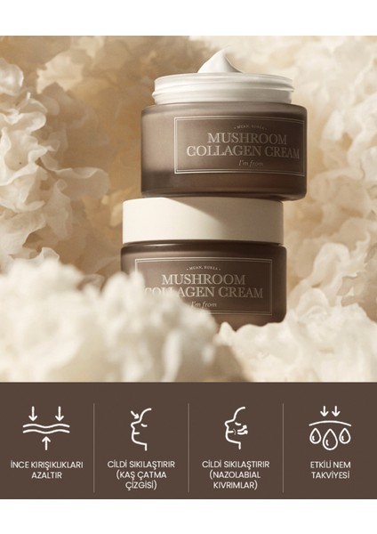 Mushroom Collagen Cream Kırışıklık Karşıtı Vegan Kolajenli Yüz Kremi 50 ml fiyatları