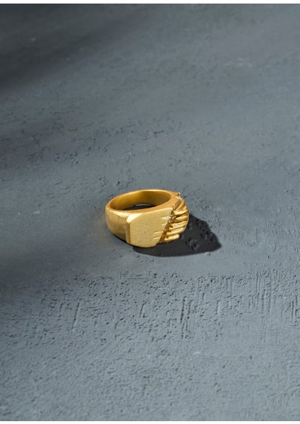 Garry 925 Ayar Gümüş 18 Ayar Altın Kaplama Erkek Yüzük fiyatları