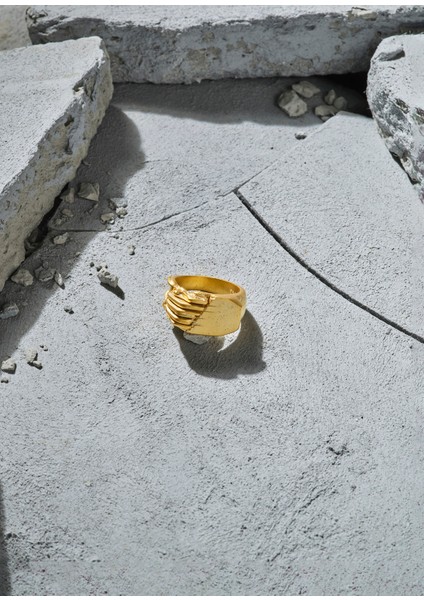 Garry 925 Ayar Gümüş 18 Ayar Altın Kaplama Erkek Yüzük modelleri