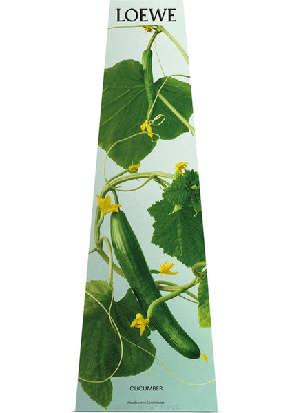 Cucumber 330 gr Mum fırsatları