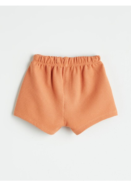 Yeni Sezon Bisiklet Yaka Baskılı Erkek Bebek Tişört ve Şort 2'li indirimleri