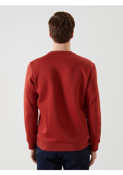 Yeni Sezon Bisiklet Yaka Uzun Kollu Erkek Kalın Sweatshirt fırsatları
