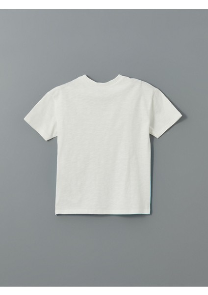 Yeni Sezon Bisiklet Yaka Renk Bloklu Penye Erkek Bebek Tişört indirimleri