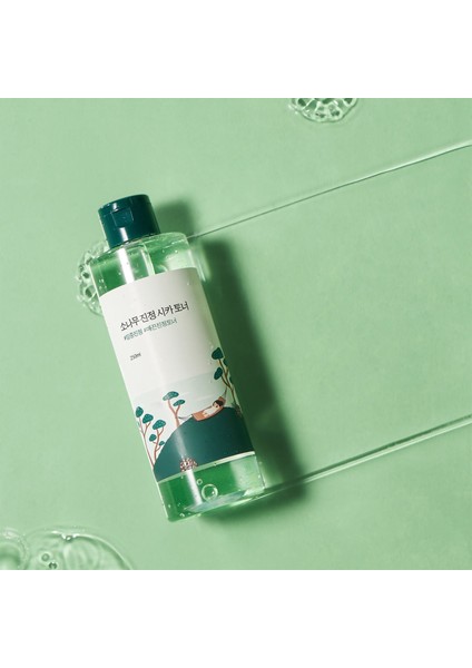 Pine Calming Cica Toner Bariyer Koruyucu ve Gözenek & Pürüz Karşıtı Çam Özlü Cica Yüz Toniği 250 ml fiyatları