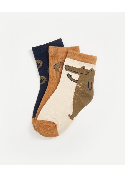 Yeni Sezon Baskılı Erkek Bebek Soket Çorap 3'lü modelleri