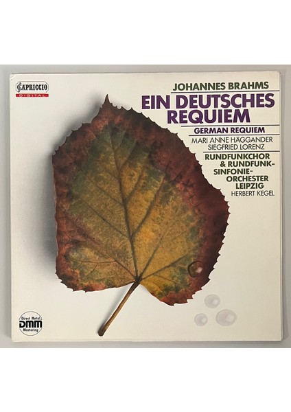 Johannes Brahms Rundfunkchor Leipzig Rundfunk-Sinfonie-Orchester Leipzig Herbert Kegel Ein Deutsches Requiem Lp Plak (Orijinal 1987 Dönem Alman Baskı Plak)