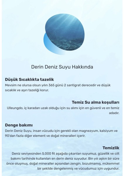 1025 Dokdo Mud Pack Geniş Gözenek ve Siyah Nokta Karşıtı Nemlendirici Mineralli Çamur Maskesi 100ML indirimleri