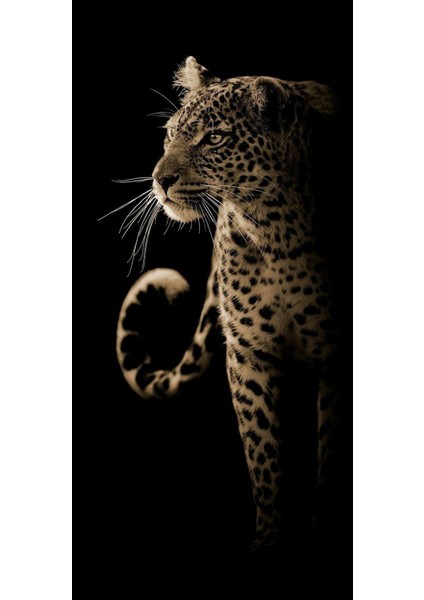 Kaplan 3 Ev Duvar Salon Güzellik Salonu Ofis Dükkan Dekarasyon Kanvas Tablo fiyatları