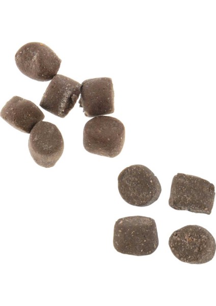 Powerbait Trout Nouggets Sahte Yemi 57GR-CHSEESE
