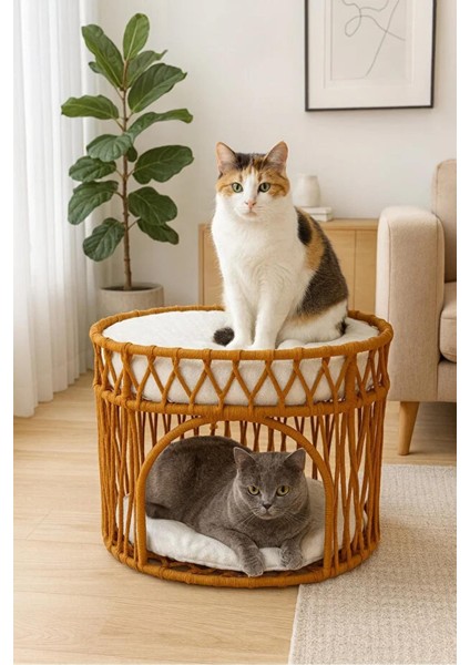 Çift Katlı Kedi Yatağı Kedi Ranzası, Iskandinav Kedi Evi Kahverengi