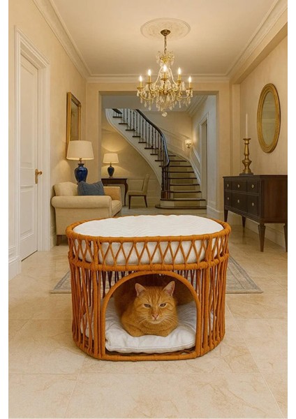 Çift Katlı Kedi Yatağı Kedi Ranzası, Iskandinav Kedi Evi Kahverengi modelleri