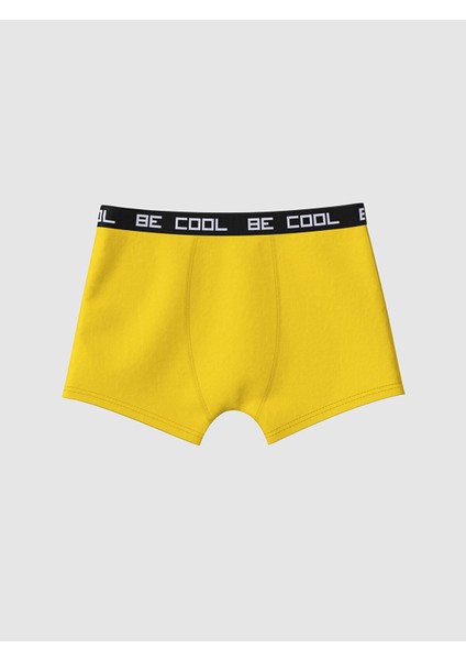 Yeni Sezon Baskılı Erkek Çocuk Boxer 3'lü fiyatları