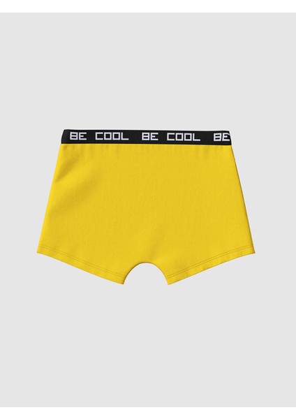 Yeni Sezon Baskılı Erkek Çocuk Boxer 3'lü modelleri
