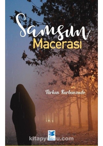 Samsun Macerası