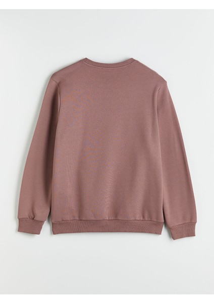 Yeni Sezon Bisiklet Yaka Baskılı Erkek Sweatshirt fiyatları