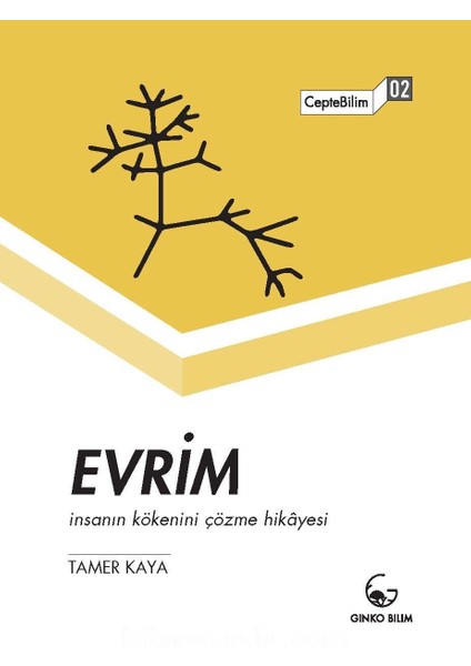 Evrim Insanın Kökenini Çözme Hikayesi